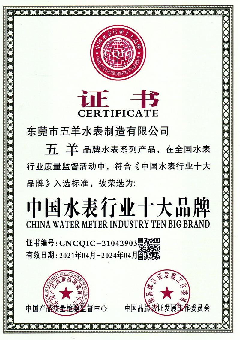 中国水表行业十大品牌证书
